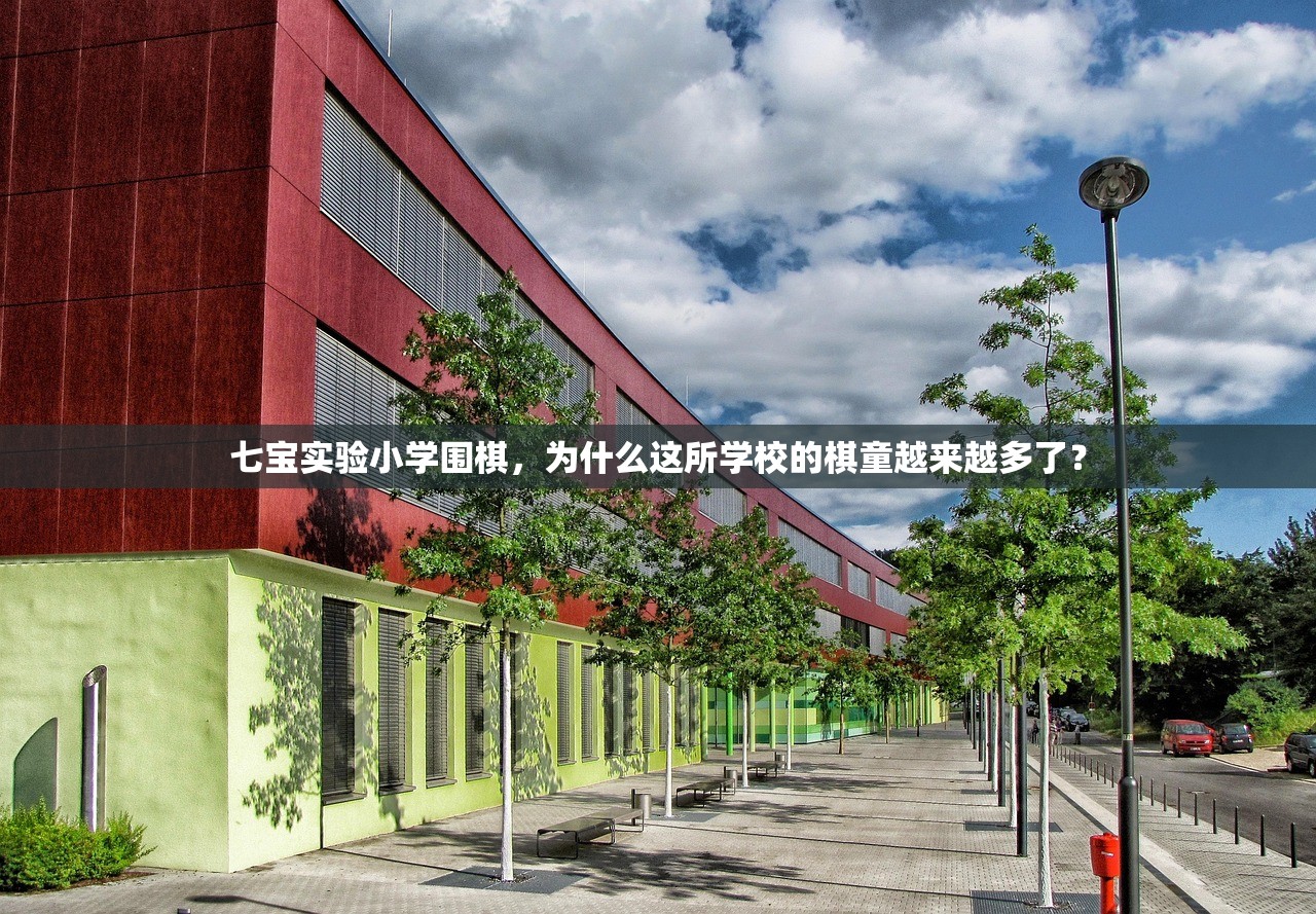 七宝实验小学围棋，为什么这所学校的棋童越来越多了？