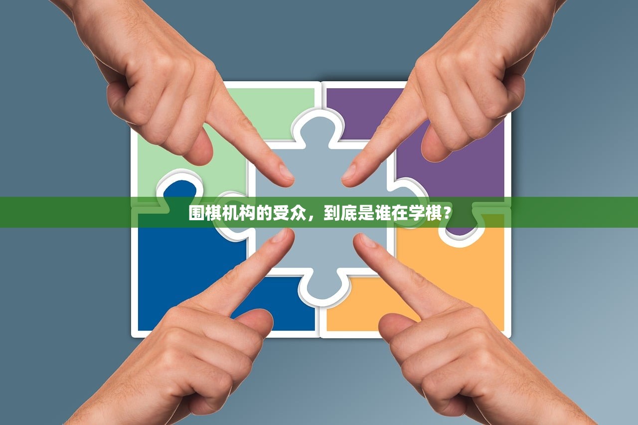 围棋机构的受众，到底是谁在学棋？