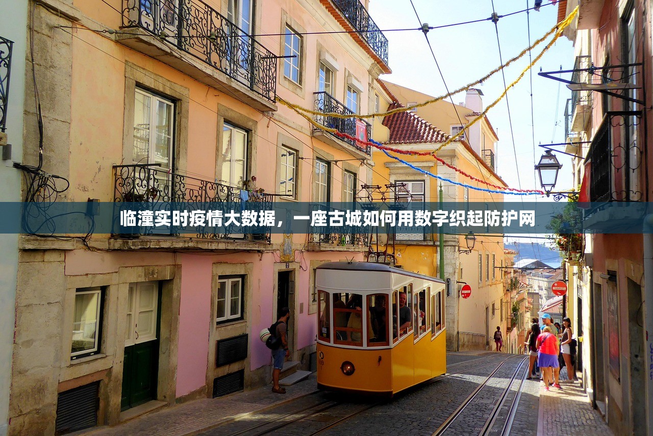 临潼实时疫情大数据，一座古城如何用数字织起防护网