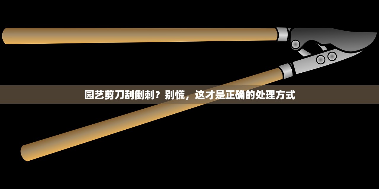 园艺剪刀刮倒刺？别慌，这才是正确的处理方式