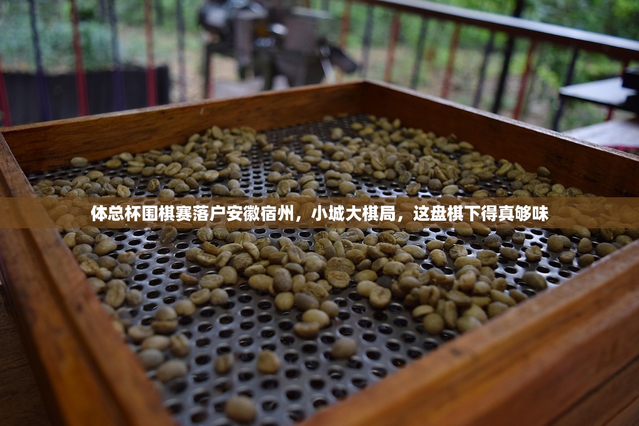 体总杯围棋赛落户安徽宿州，小城大棋局，这盘棋下得真够味