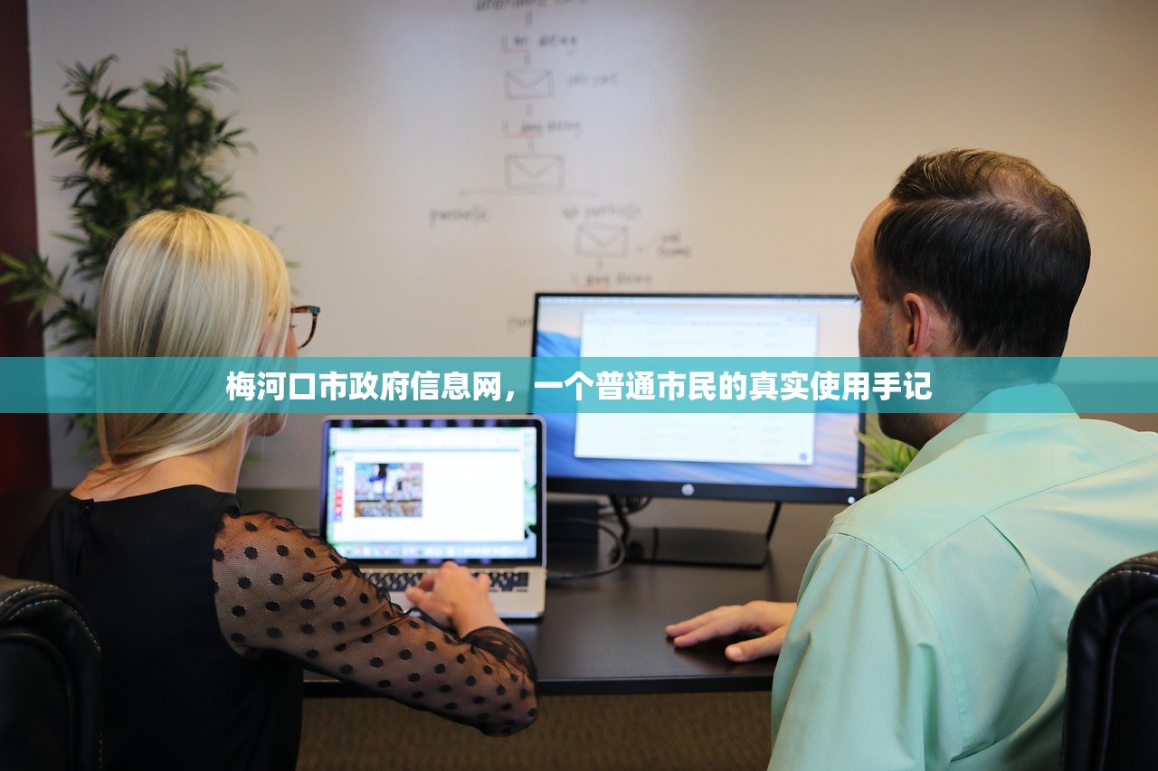 梅河口市政府信息网，一个普通市民的真实使用手记