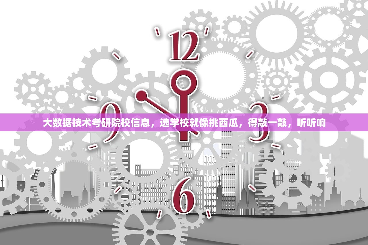 大数据技术考研院校信息，选学校就像挑西瓜，得敲一敲，听听响