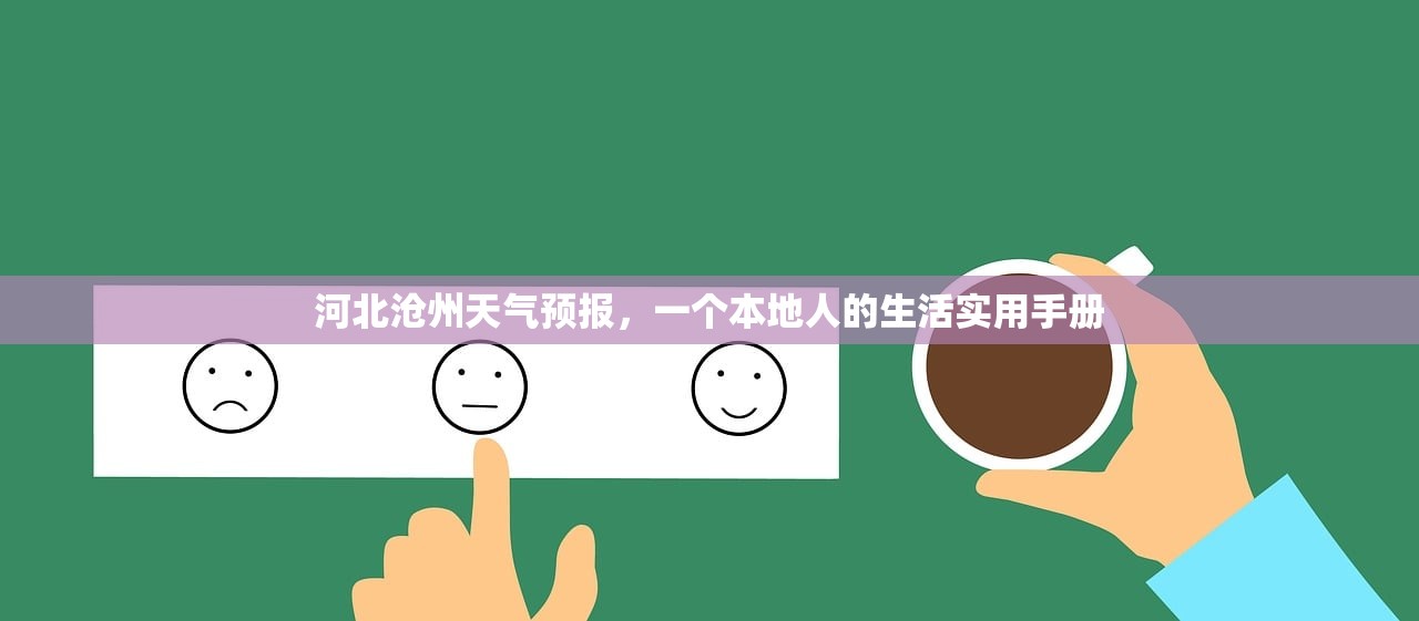 河北沧州天气预报，一个本地人的生活实用手册
